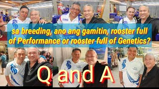 EP484 part 3: sa breeding ano magandang gamitin, rooster full of Performance or  full of Genetics?