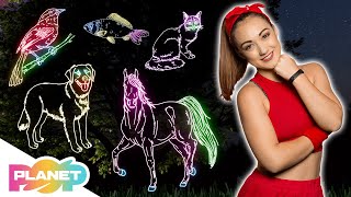 😺 Pets Animals Song 🐠🐶 | ESL Kids Songs | English For Kids | Planet Pop