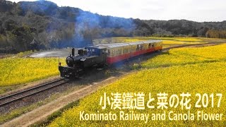 小湊鉄道と菜の花　2017 （千葉県市原市）/ Kominato Railway and Canola Flower in Spring.