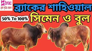 ব্র্যাকের ৫০% থেকে ১০০% শাহিওয়াল বীজ ও বুলের ছবি ও বুল নাম্বার দেখুন।#Brac Semen