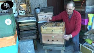 BeeSpace: Improving foraging efficiency and decongesting the brood box