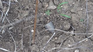 Neighbor is concerned with nearby Gatesville gun range