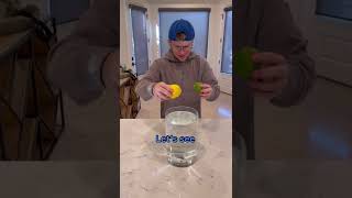 What S The Difference Between A Lemon And Lime