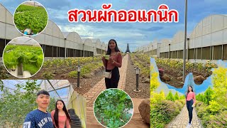 สวนผักออแกนิกที่ปากช่องแดนหนาว เป็นสถานที่ถ่ายรูป บรรยากาศดี | Organic vegetable garden at Pak Chong