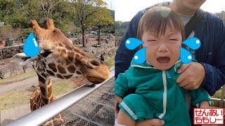 伊豆アニマルキングダムであそぶせんももあいしー Izu Animal Kingdom