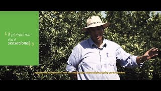 Agrosmart in Practice | Junqueira Rodas | Citrus