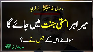 Hadees Nabvi | Mera Har Ummati Jannat Me Jaye Ga Sawaye Uske Jo | Islamic Urdu Pakistan