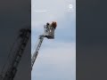 Firefighters rescue tourist from Leaning Tower of Pisa