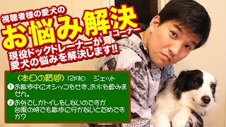 【愛犬のお悩み解決コーナー】お散歩中にオシッコをせず、お水を飲みま せん。お外でしかトイレをしないのですが 　台風の時でも散歩に行かないとだめです か？