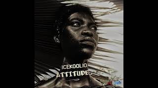 Icekoolio -ATTITUDE (Official Audio)