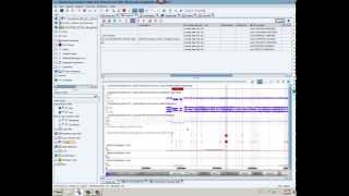 Brief Analysis Demo on ChAS