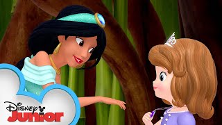 Sofia Meets Jasmine! 🐯 | Sofia the First | Disney Junior