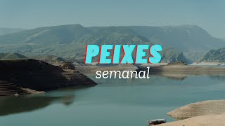 PEIXES-Alguém volta p/uma nova etapa.Ele/a entusiasmado/a➕ação inibida por renúncia necessária➕Tem❤️