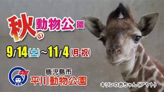 【平川動物公園】秋の動物公園まつり