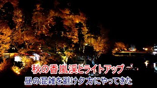 秋の香嵐渓とライトアップ (11月25日撮影)