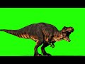 T-Rex Roar, Walk, Run, Eat and Fight - Dinosaur Green Screen