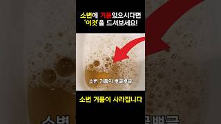 소변에 거품이 있으시다면 이것을 드셔보세요! 거품뇨에 좋은 음식 정리! /거품뇨, 단백뇨, 당뇨