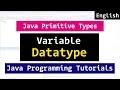 Java Primitive Data Types, Variables  | Java Programming Tutorial