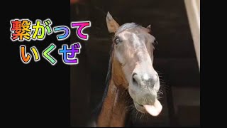 あーこっこ乗馬日記・番外編〜あーこっこクラブで人との繋がりが点から線に変わったぜ！