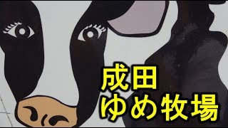 成田ゆめ牧場に出向くっ！