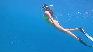 Under Water Bikini video by KIARA Advani 😍🙌🐬🐠🌊💖 #World Environment Day