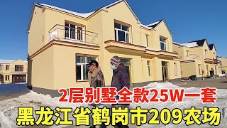 黑龙江省鹤岗市209农村，2层别墅全款25W一套，竟然还不是毛坯！【鬼头看房】