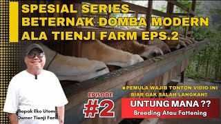 PEMULA UNTUNG MANA‼️BREEDING ATAU FATTENING | TIPS BETERNAK DOMBA MODERN ALA TIENJI FARM | EPS.02