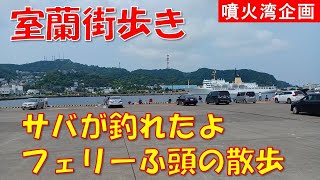 室蘭街歩きサバが釣れてるよ 青森航路フェリーふ頭の散歩