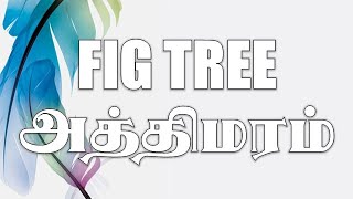 CURSED FIG TREE | சபிக்கப்பட்ட அத்திமரம் | WEDNESDAY MESSAGE BY PASTOR: P.CALEB | (30/09/2020)