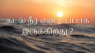 Why is ocean salty? | கடல் உப்பு | கடல் அறிவியல் | Limitlessly