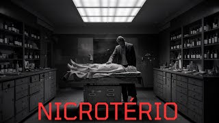 6 HISTORIAS DE TERROR EM NICROTÉRIO!