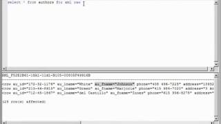 XML Tutorial 73 XML & SQL Technologies