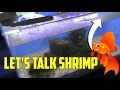 tds meters are killing shrimp and fish.