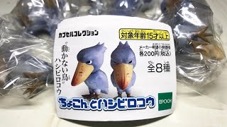 【ガチャガチャ】全8種もある喜び『ちょこんとハシビロコウ』開封レビュー【可愛い】