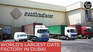 World’s largest date factory in Dubai Industrial City | UAE news