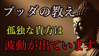 【意外な事実】波動の強い人が孤独な理由【ブッダの教え】