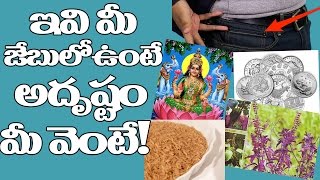 Do You Want LUCK? Keep these in your POCKETS | ఇవి మీ జేబులో ఉంటే అదృష్టం మీ వెంటే