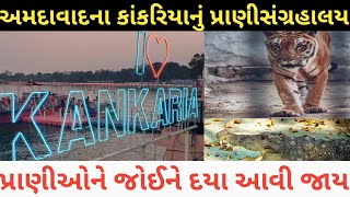 Ahmedabad Kankariya Lake Zoo Full Tour ।। Ahmedabad Zoo Visit