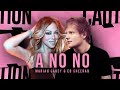 Mariah Carey & Ed Sheeran - A No No (Remix)