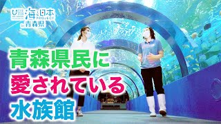 地元で唯一の水族館 日本財団 海と日本PROJECT in 青森県 2021 #10