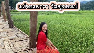 แห่จองพาราออกพรรษา ประเพณีชาวไตใหญ่ ณ #วัดซูตองเป่ #แม่ฮ่องสอน 😇ep..41