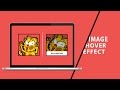 Image Hover Effect | CSS Tutorial