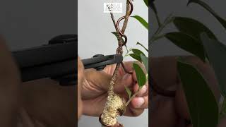 Tiger Bark Ficus | Ficus Microcarpa | Rewiring Trunk for Movement | 1Min or Less