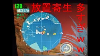 【PSO2:NGS】レヌス放置寄生多すぎ問題【老練狩り】