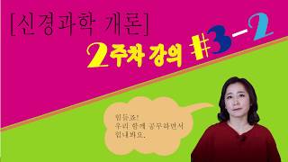 [신경과학개론] 2주차 #3-2 신경아교세포에 대해서 알아보아요.