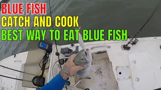 THE BEST WAY TO EAT BLUE FISH..BLUE FISH CATCH CLEAN AND COOK