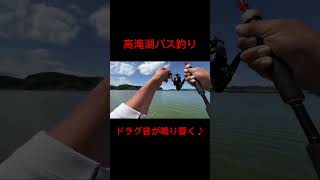 6月8日高滝湖バス釣り6 #高滝湖バス釣り#バス釣り#バスフィッシング#バス釣り好きと繋がりたい#釣り好きと繋がりたい#釣り#JBAC釣りチャンネル