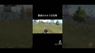 野良スクだと1人になりがち　#パブジー　#pubgモバイル