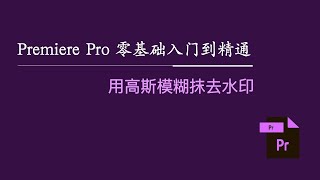 Premiere Pro 零基础入门到精通：用高斯模糊抹去水印