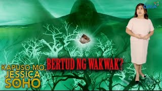 Kapuso Mo, Jessica Soho: BERTUD NG WAKWAK! KMJS SPECIAL EPISODE